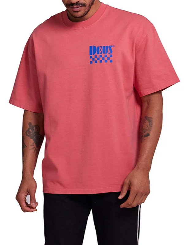 DMP241304