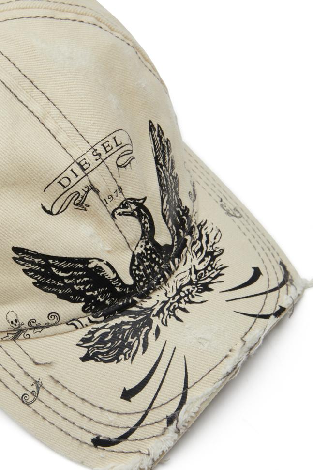 C-FENIX CAPPELLO